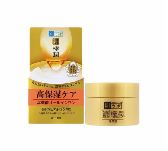 Rohto Mentholatum Hada Labo Gokujyun Perfect Gel Moisturizer 100g
